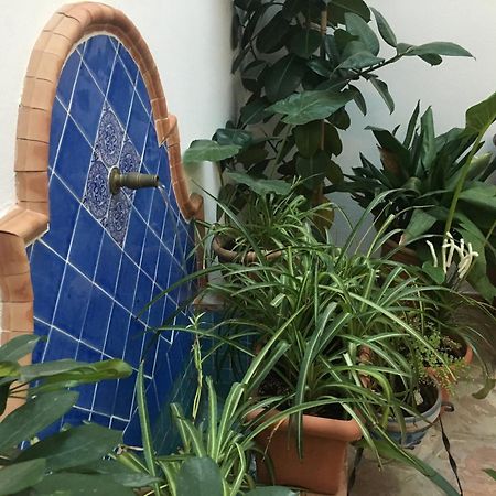 La Casa Del Rio Διαμέρισμα Κόρδοβα Εξωτερικό φωτογραφία